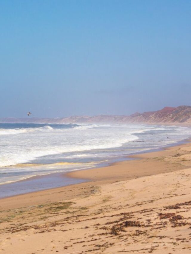 Go Travel California