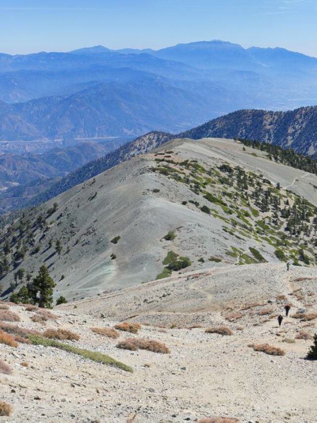 Go Travel California