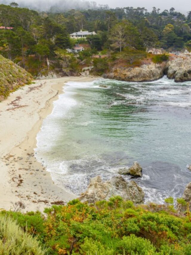 Go Travel California