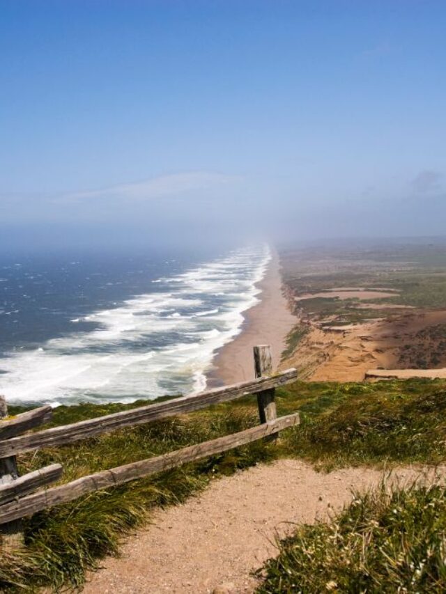 Go Travel California