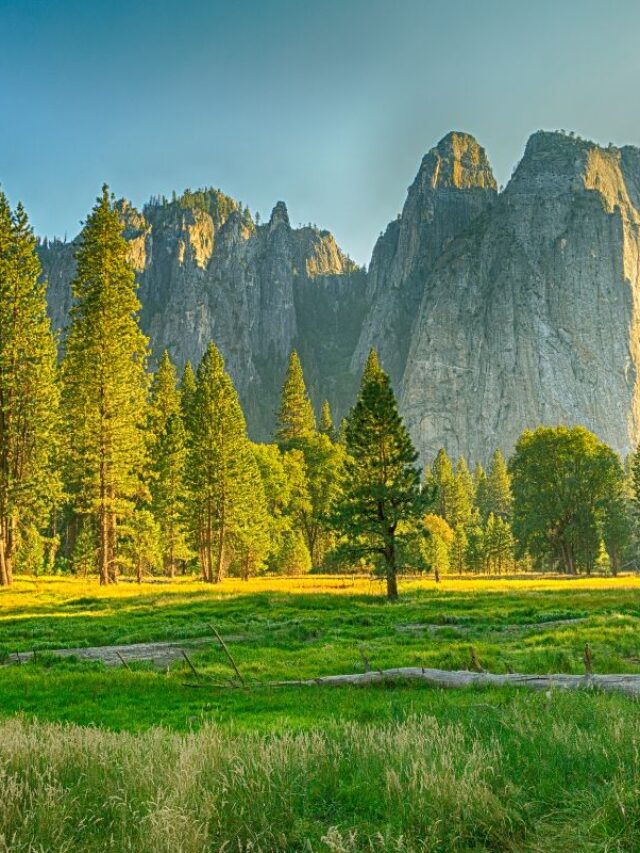 Go Travel California