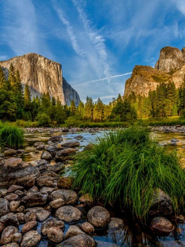 Go Travel California