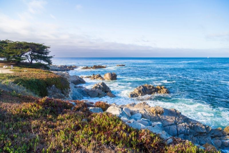Monterey, Lover's Point