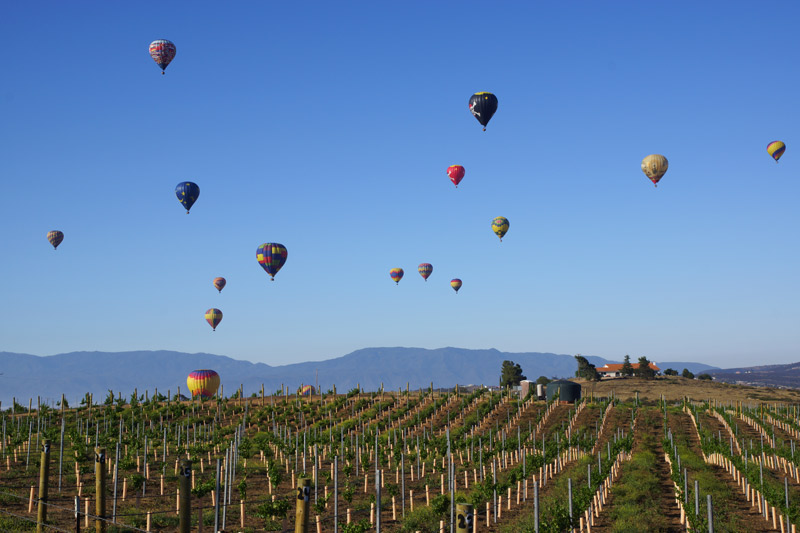 Temecula Wine Region, hot air balloons