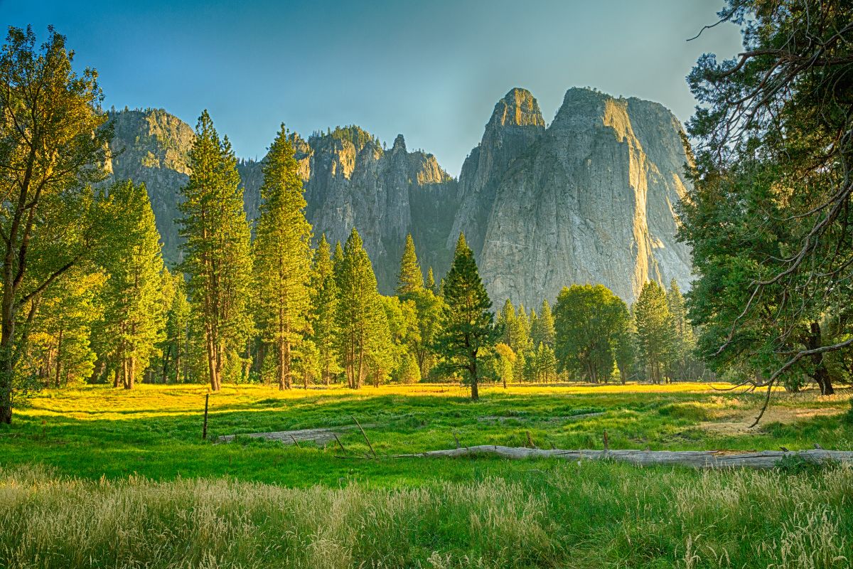 8 Best National Parks In California