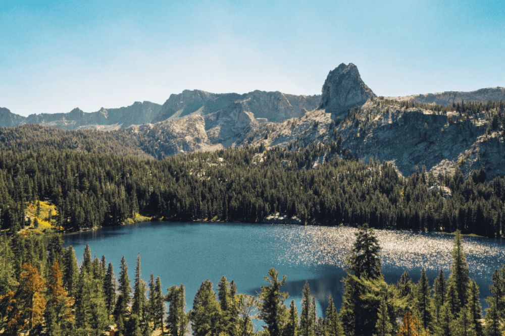 lake surrounded by forest and mountain