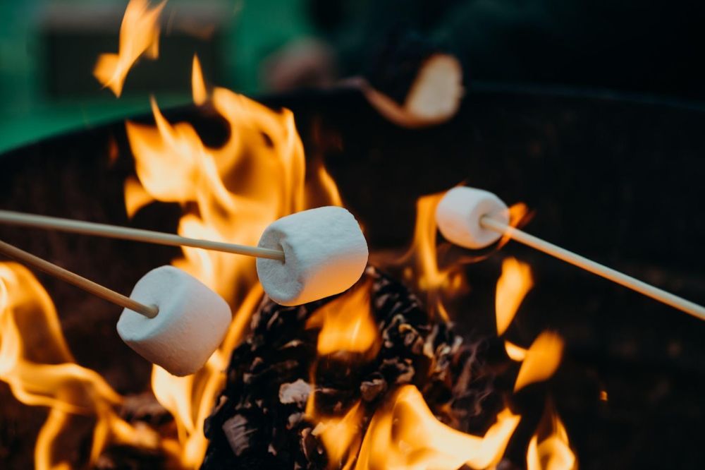 marshmallows roasting over campfire