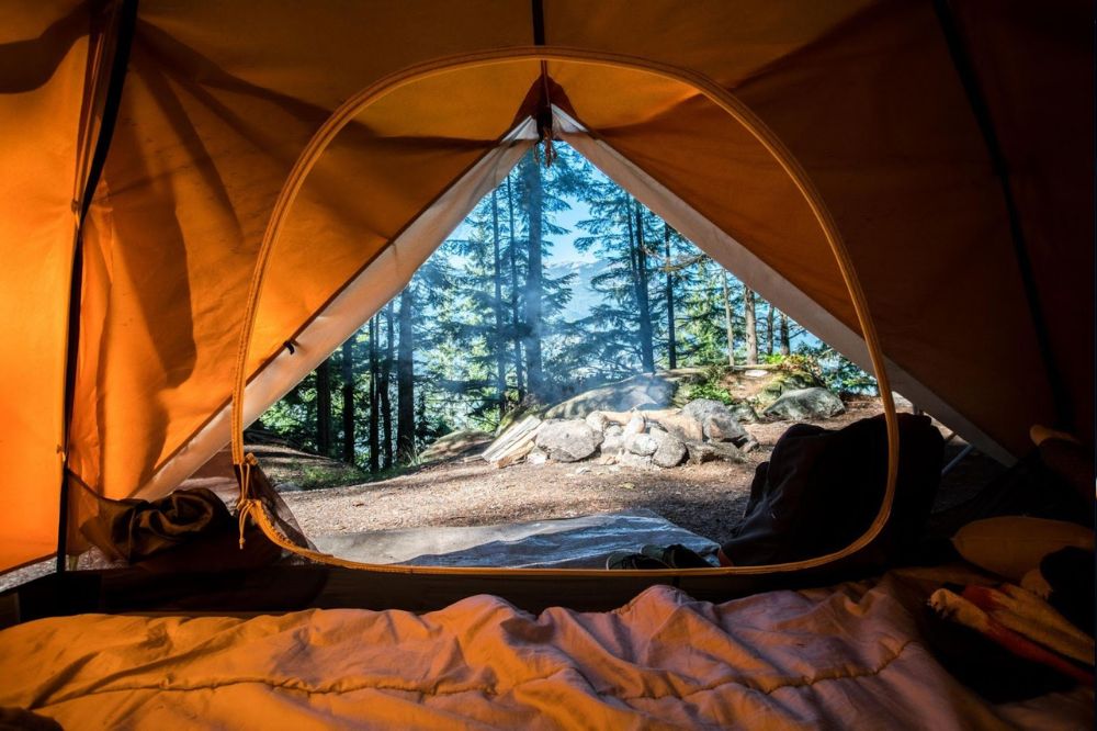 looking at the woods from a tent