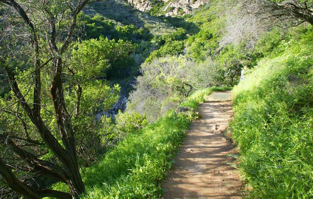 Jesusita Trail