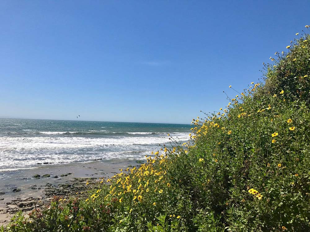 Arroyo Burro Beach