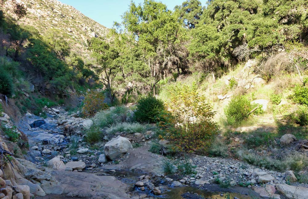 cold spring trail
