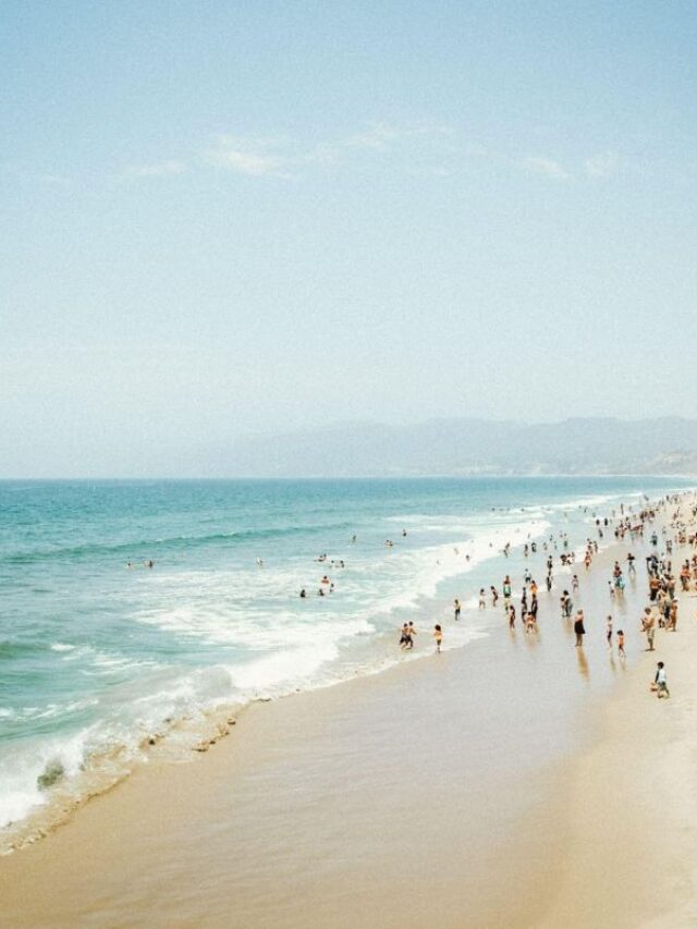 Go Travel California