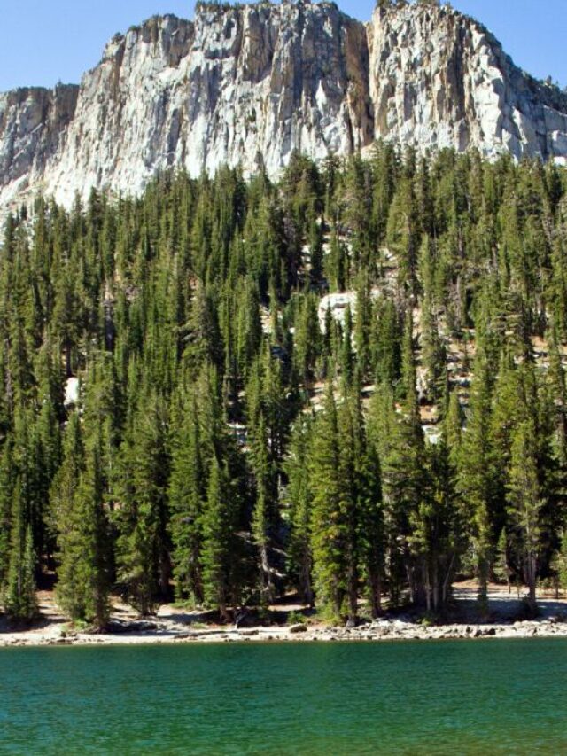 Go Travel California