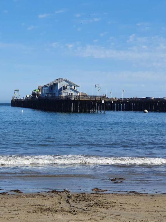 Go Travel California