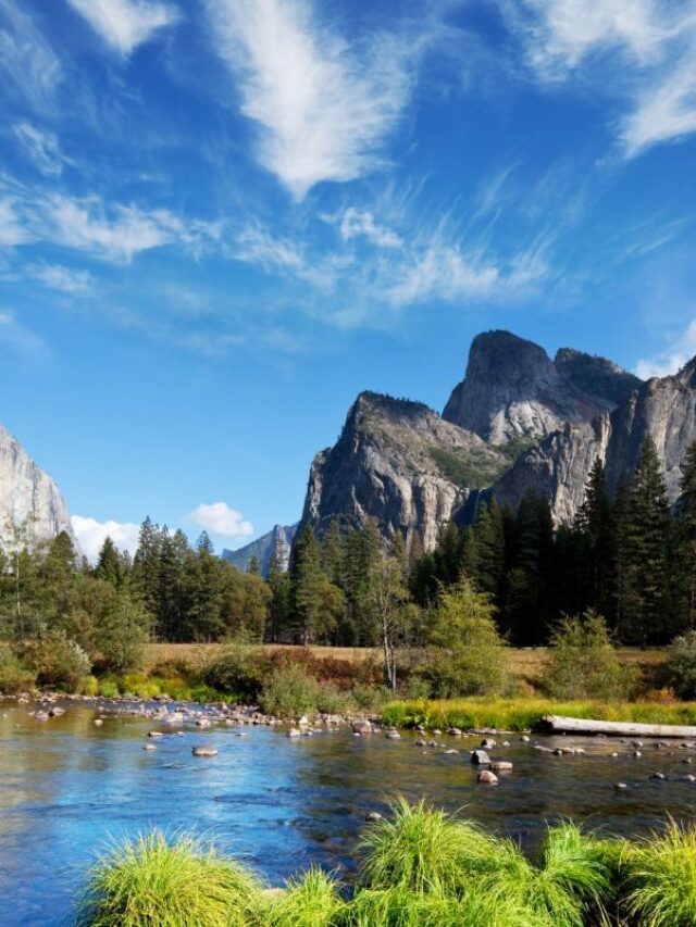 Go Travel California