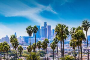 A view of Los Angeles and palm trees