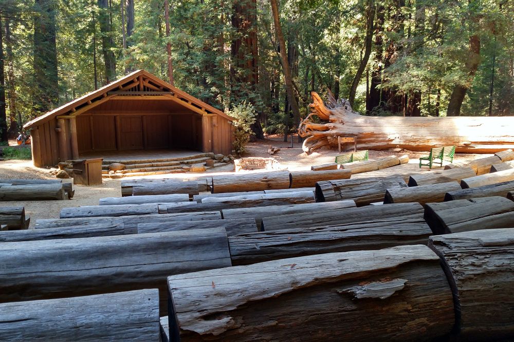 Big Basin Redwood State park Amphitheatre