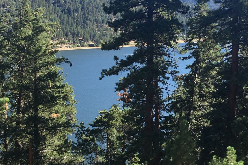 Big Bear lake through the trees