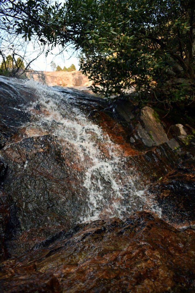 Go Travel California