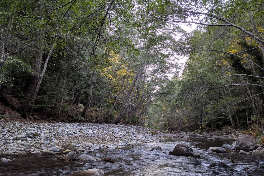 Big Sur river