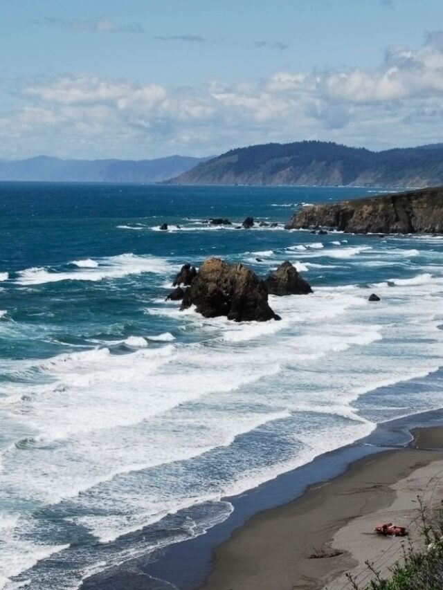 Go Travel California