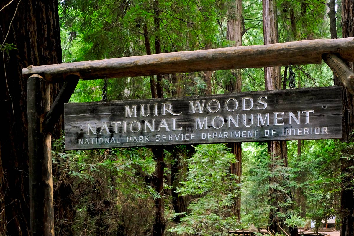 Muir Woods National Monument