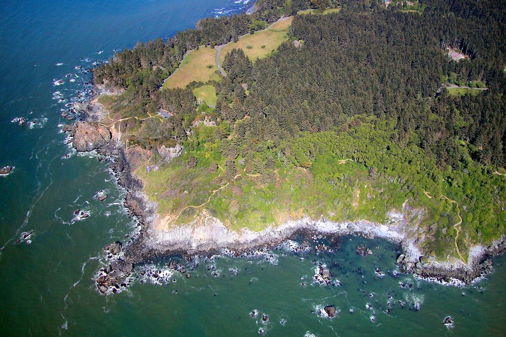 Patrick's Point