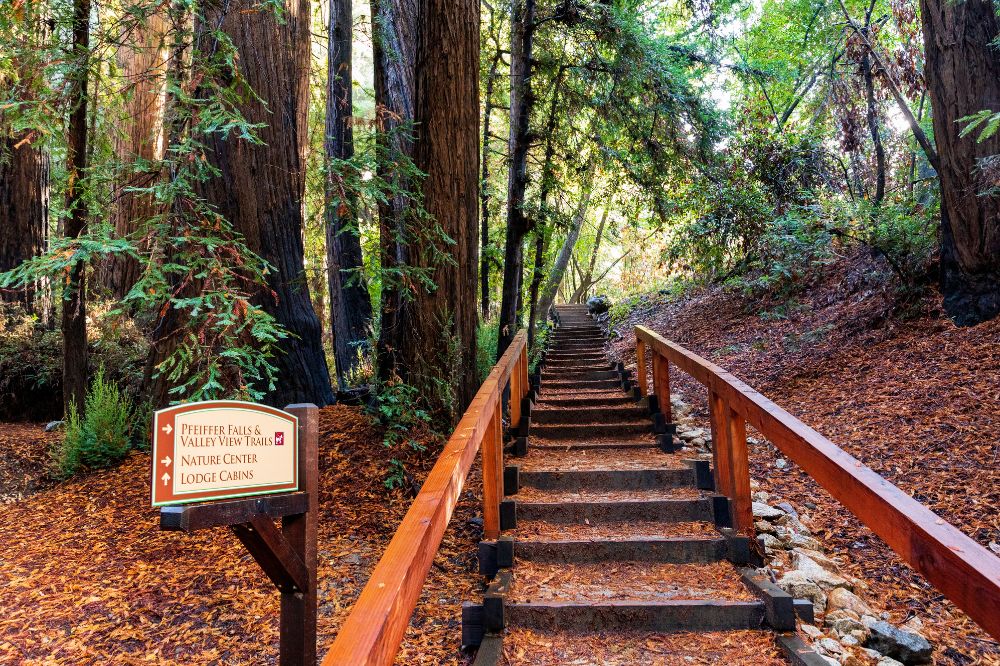 Pfeiffer falls trail