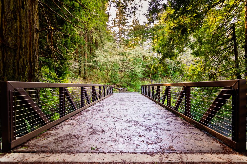a bridge in Purisima creek redwoods preserve