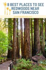 8 Best Places to See Redwoods Near San Francisco - Go Travel California