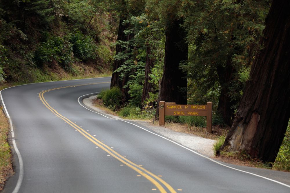 Entering Samuel P Taylor State Park