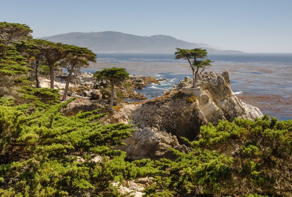 The lone cypress along 17 mile drive