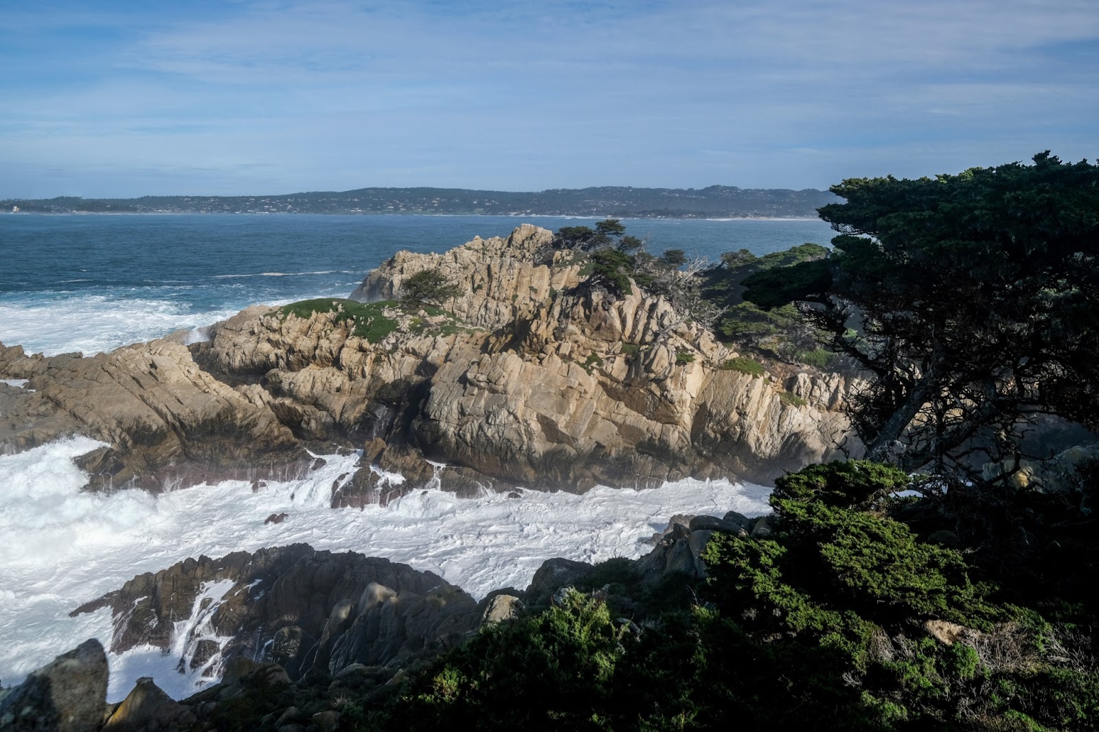 Point-Lobos-State-Reserve
