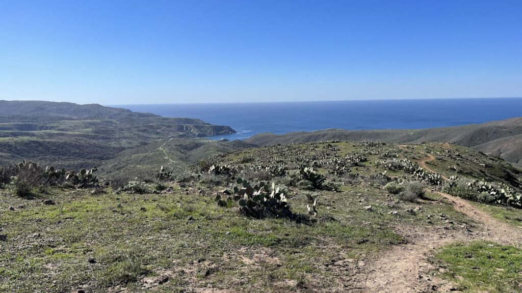 Go Travel California