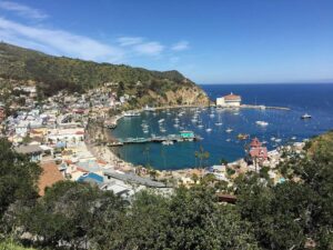 The Perfect Catalina Island Day Trip: 8 Great Things to Do – Go Travel