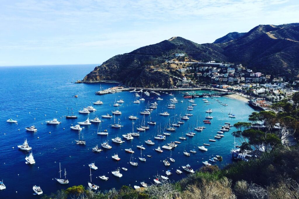 the bay around Catalina Island
