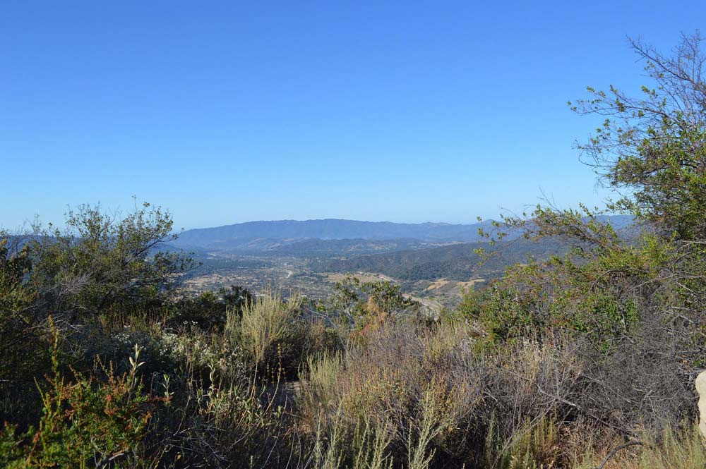 cozy dell trail