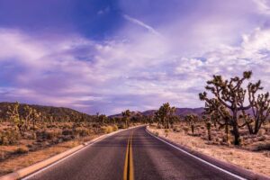 day trips from palm springs