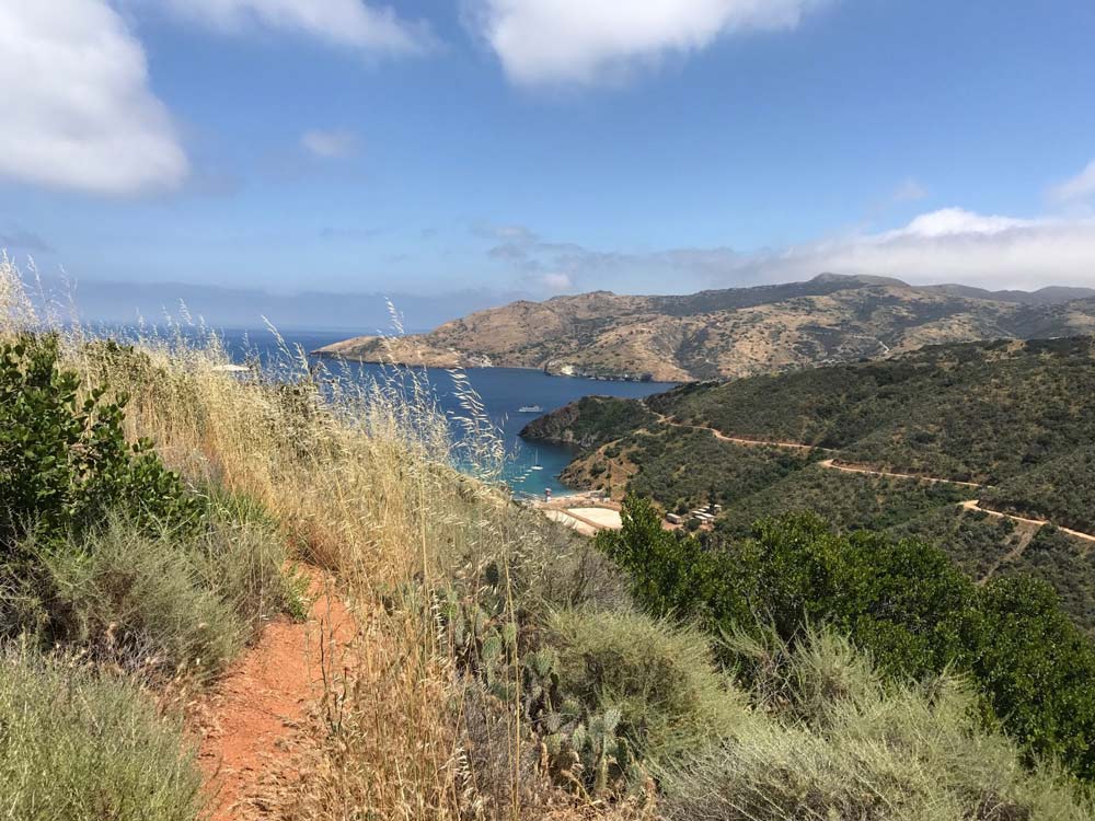 Sullivan's Beach hike