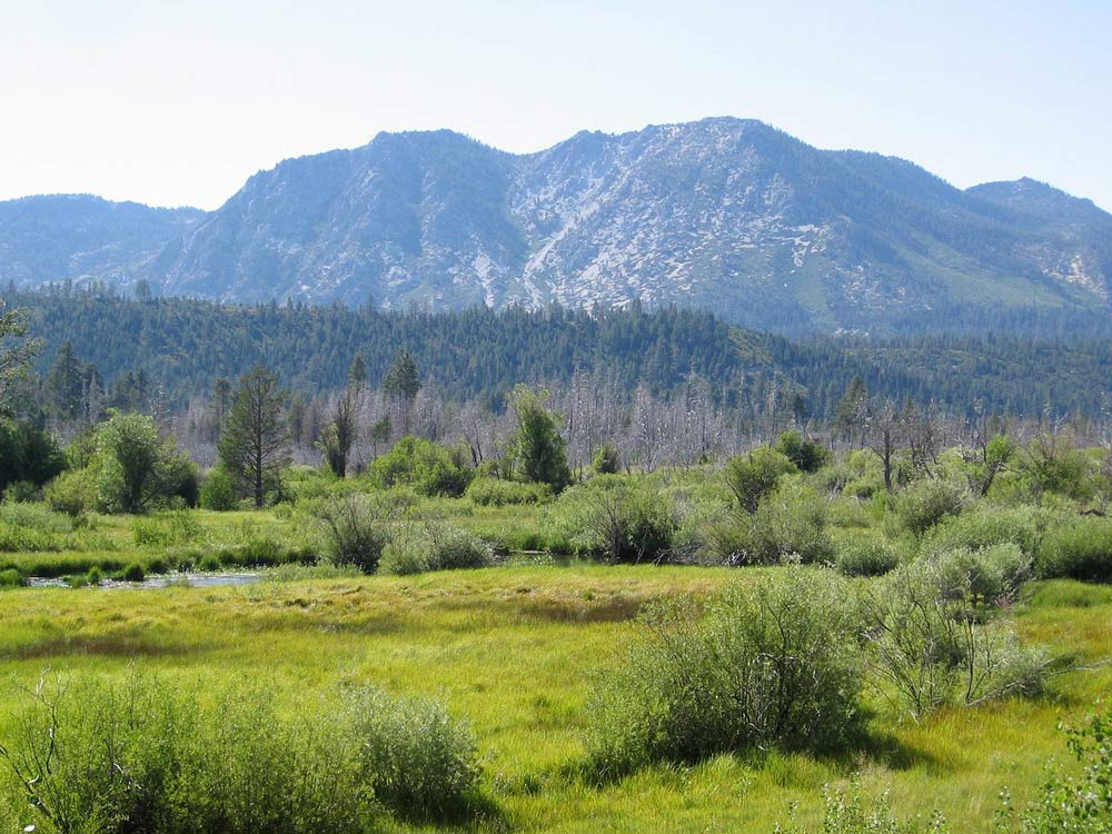 Taylor Creek Visitor Center