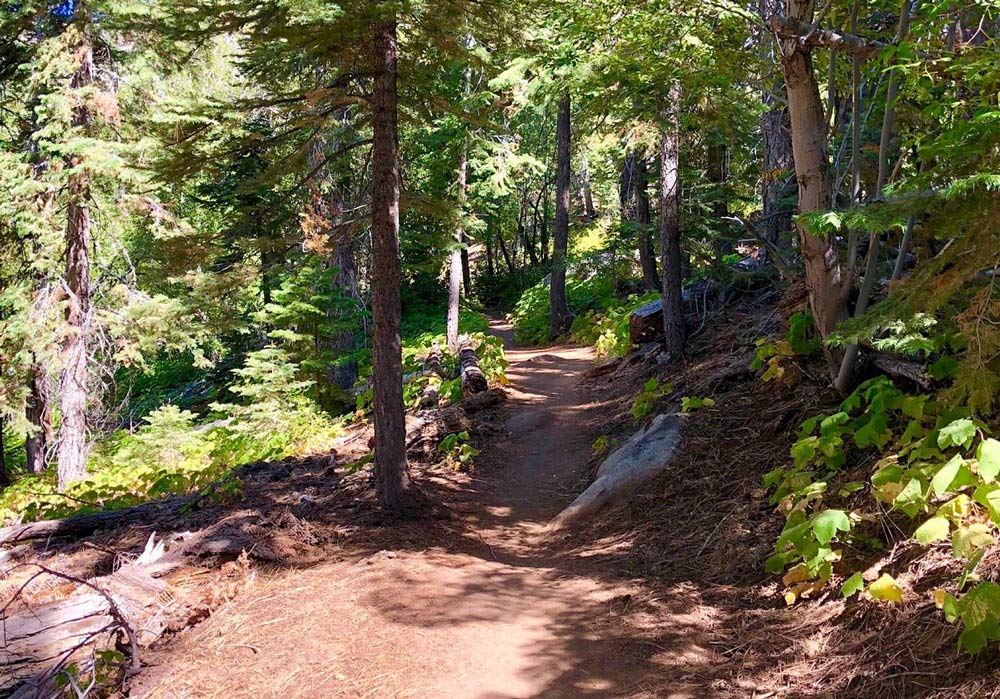 Van Sickle Bi State Park trail