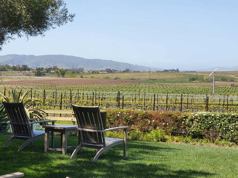 edna valley winery