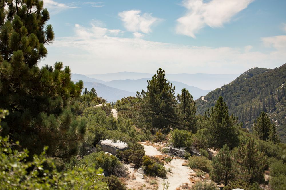 Pacific crest trail