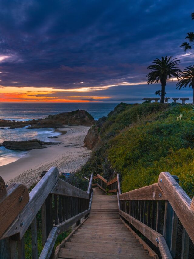 Go Travel California