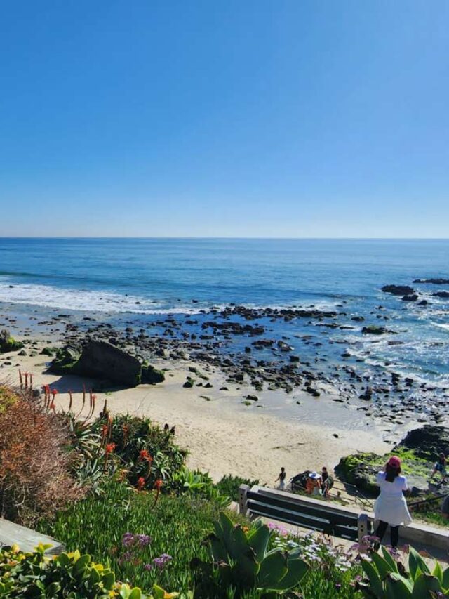 Go Travel California