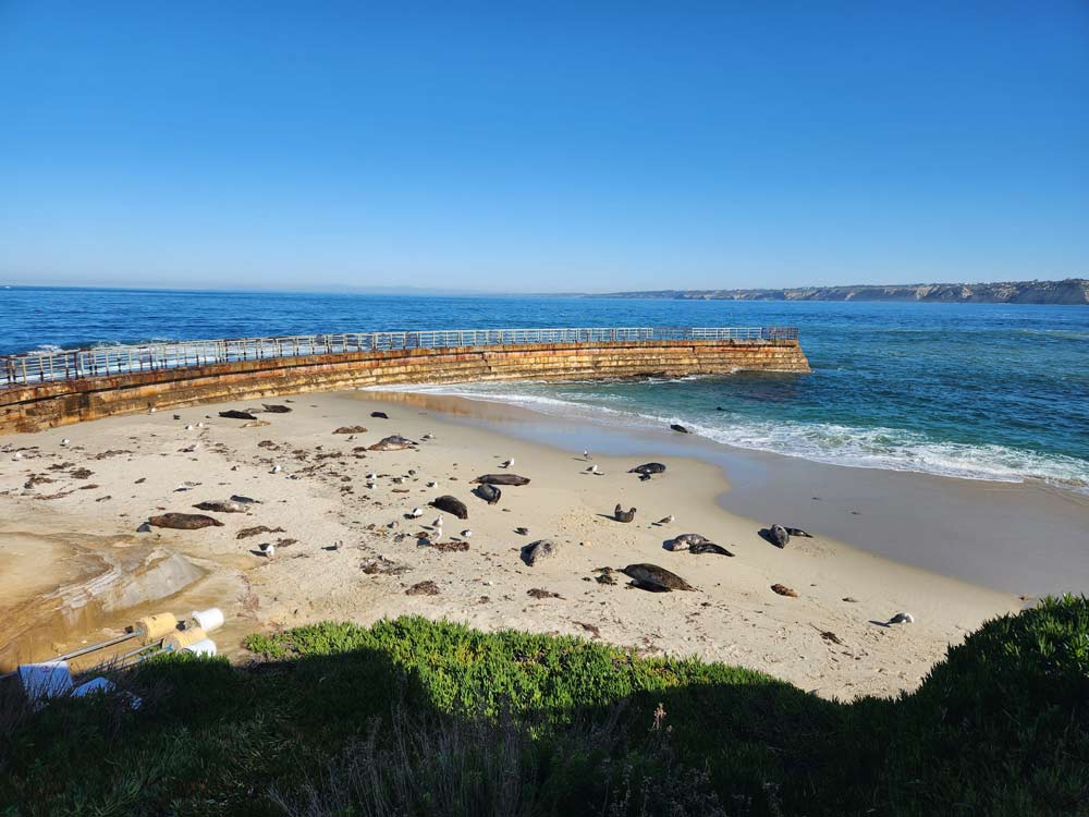 Go Travel California