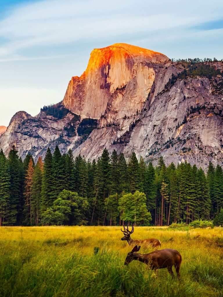 Go Travel California