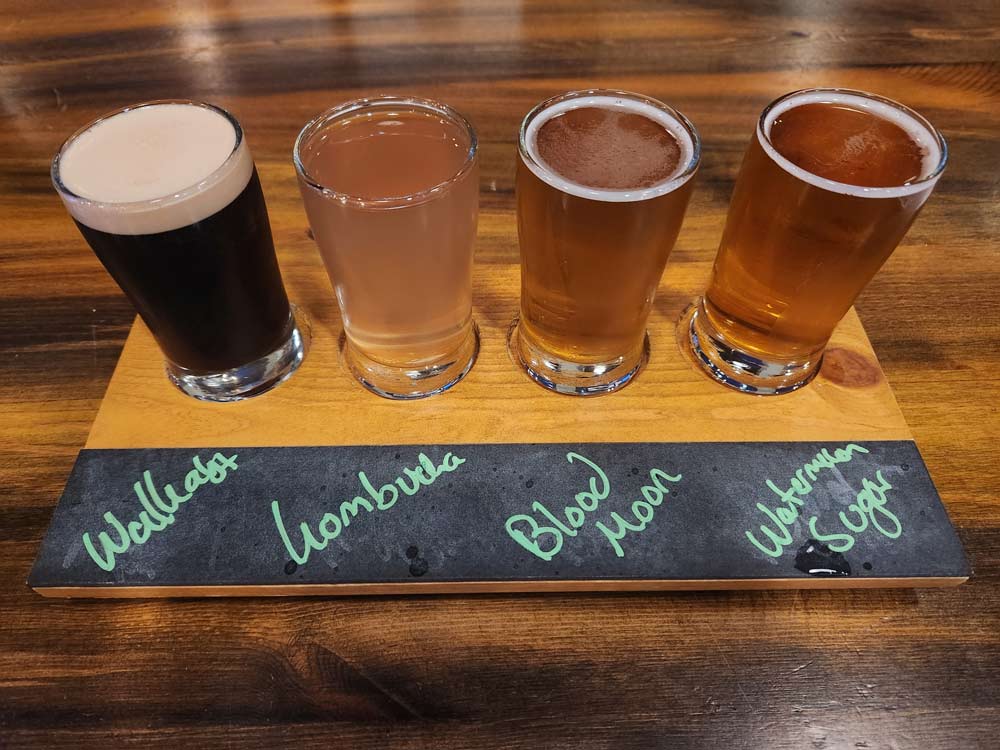 A tasting flight at Breakwater Brewing