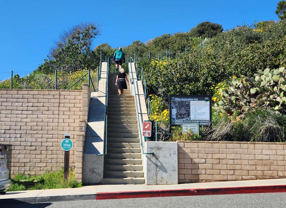 The stairs leading to the Hilltop conservation trail