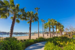 A beach at Marina del Rey California